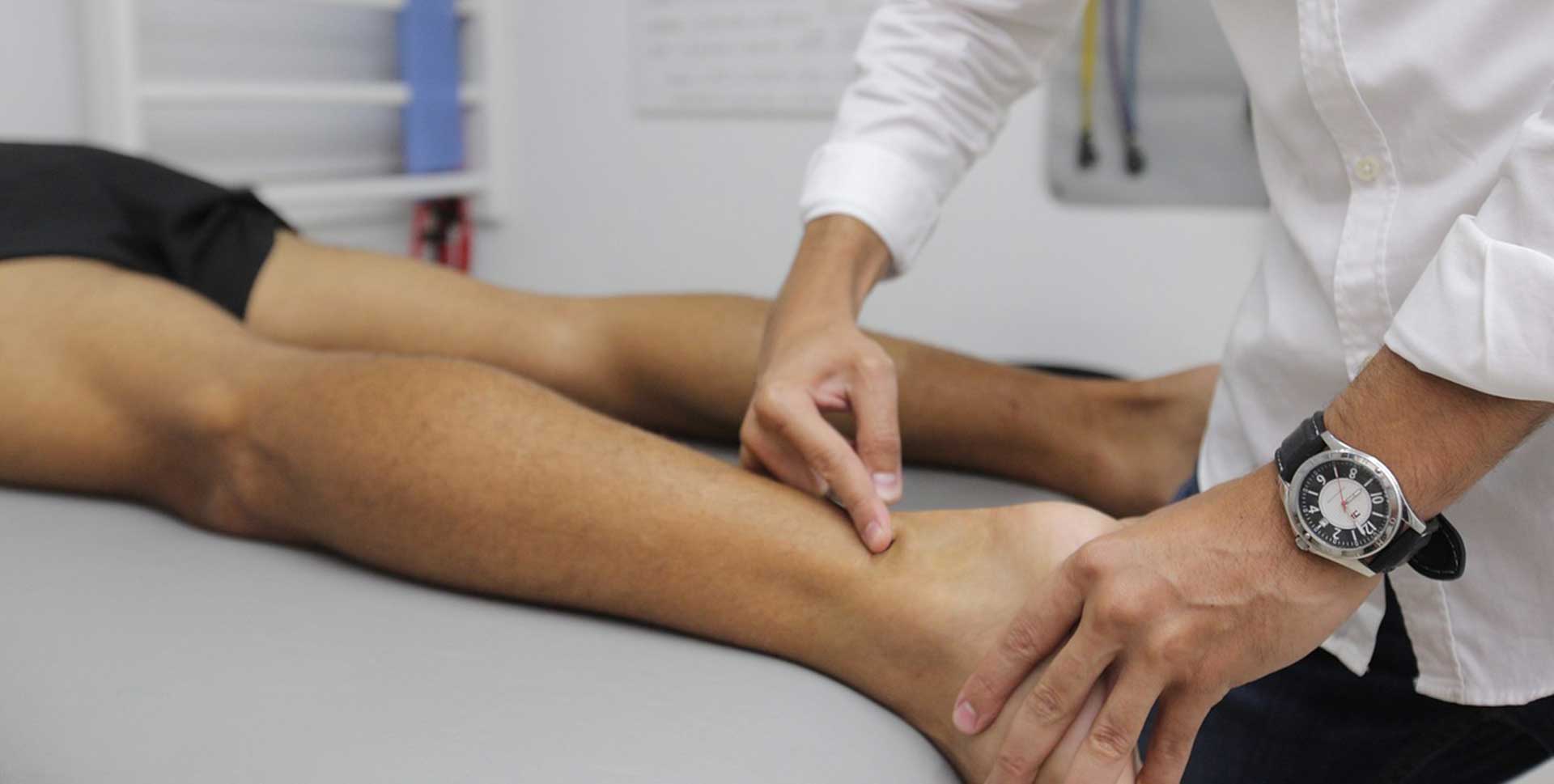 健康・医学 Fortgeschrittene viszerale Osteopathie Fortgeschrittene viszerale Osteopathie : Barral, Jean-Pierre